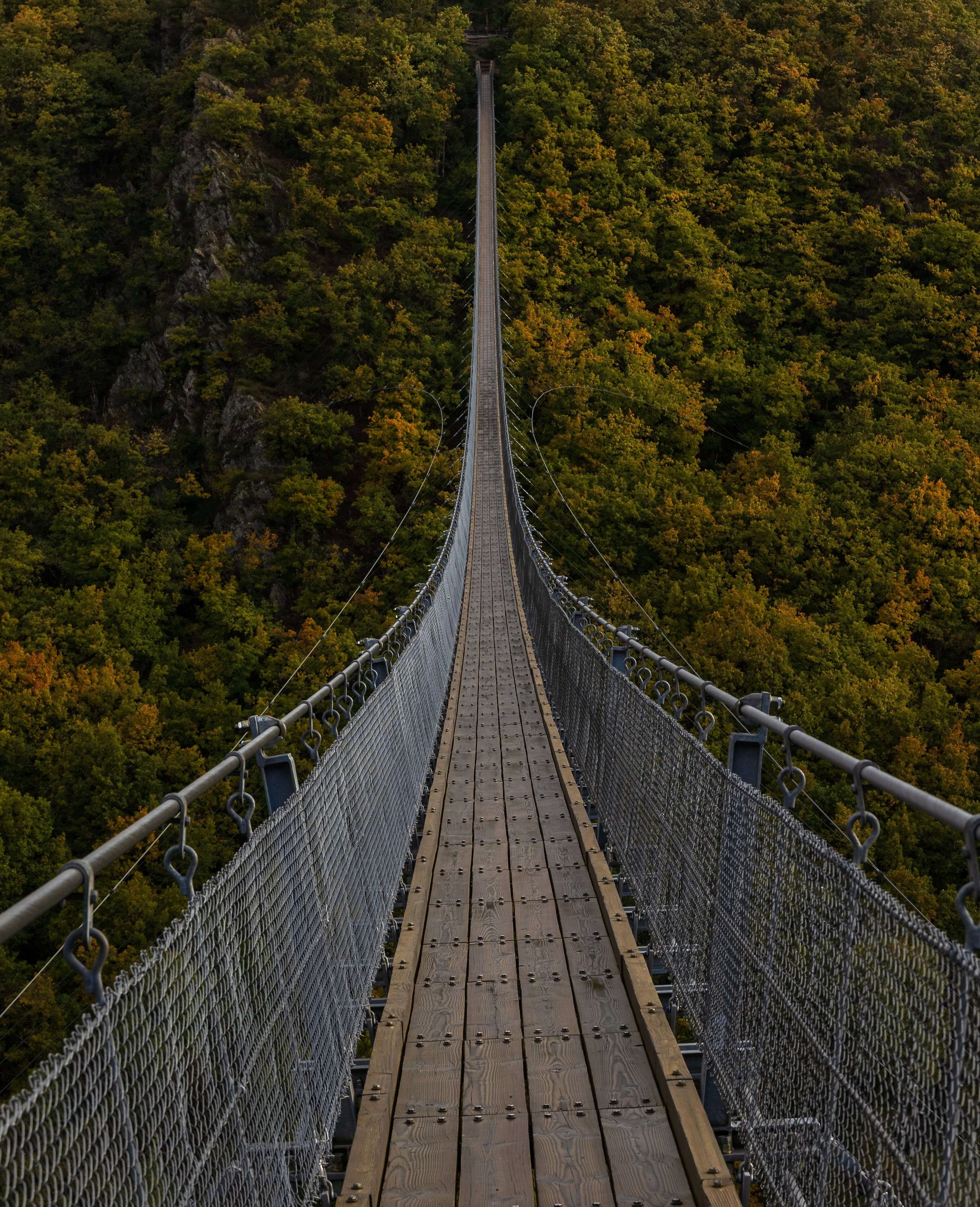 long bridge with trees around
